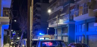 larisa moro 1 1200x630.jpg