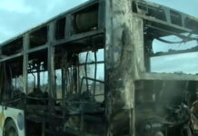 leoforeio 1200x630.jpg