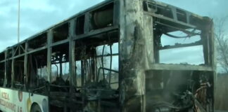 leoforeio 1200x630.jpg