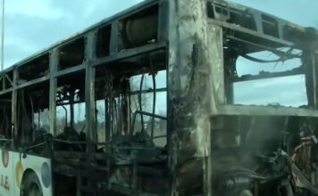 leoforeio 1200x630.jpg