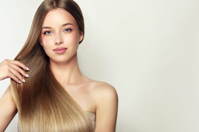 lepti trixa scaled.jpg