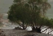 Εικόνες καταστροφής από την κακοκαιρία: Κατολισθήσεις, πλημμύρες, θυελλώδεις άνεμοι και αφρικανική σκόνη στήνουν απόκοσμο σκηνικό limnos 1 1200x630.jpg