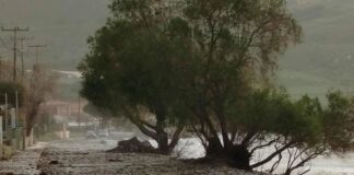 limnos 1 1200x630.jpg