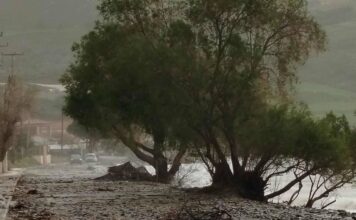 limnos 1 1200x630.jpg