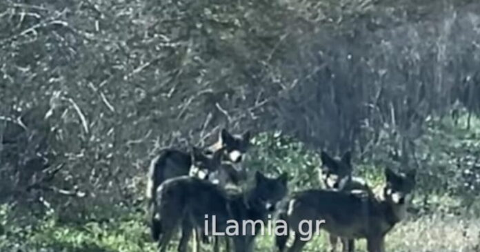 lukoi 1200x630.jpg lukoi 1200x630.jpg