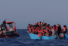 metanastes 4 1200x630.jpg