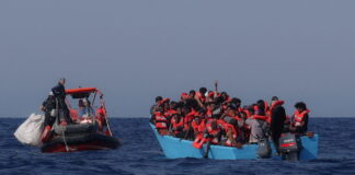 metanastes 4 1200x630.jpg