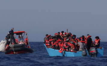 metanastes 4 1200x630.jpg