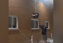 milwaukee resque baby 05022026 1200x630.jpg