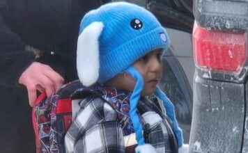 minnesota 5xronos liam 1 1200x67 1 1200x630.jpg