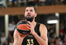 mirotic 1200x630.jpg