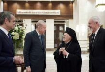 mits erd oikou 1200x630.jpeg