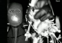 nancy gurthie apagwgi usa fbi nbc 1200x630.jpg