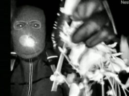 nancy gurthie apagwgi usa fbi nbc 1200x630.jpg