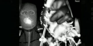 nancy gurthie apagwgi usa fbi nbc 1200x630.jpg