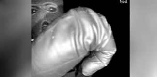 nancy guthrie drastis r 1200x630.jpg