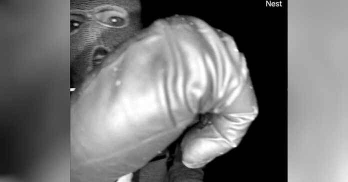 nancy guthrie drastis r 1200x630.jpg