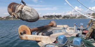 narki 19022026 1200x630.jpg