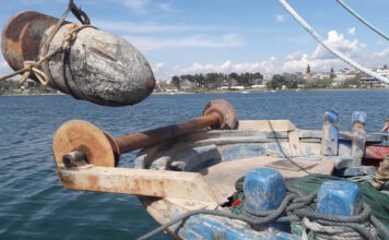 narki 19022026 1200x630.jpg