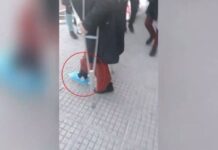 nipiagogos 1200x630.jpg