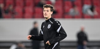 ntelias 1200x630.jpg