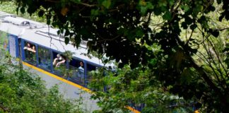 odontotos 1 1200x630.jpg