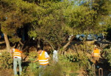 oikopeda eurok 1200x630.jpg