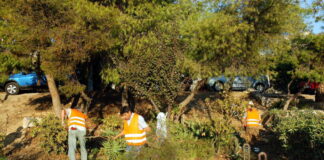 oikopeda eurok 1200x630.jpg