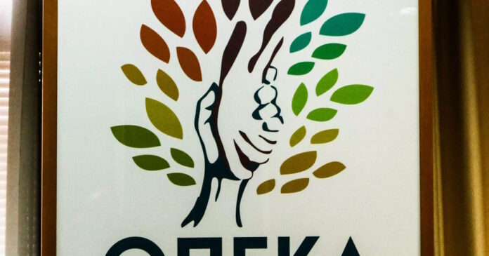 opeka 18022026 1200x630.jpg