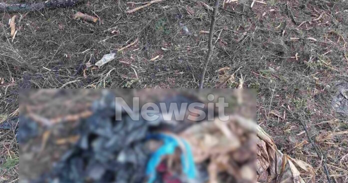 osta 1200x630.jpg osta 1200x630.jpg