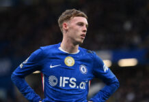 palmer 1 1200x630.jpg