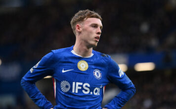 palmer 1 1200x630.jpg