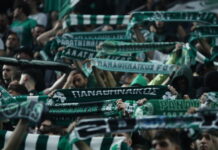 paofans 1200x630.jpg