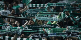 paofans 1200x630.jpg