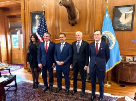 papastavrou usa 1536x1152 1.jpg