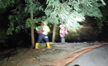 parnassos diasosi 19022026 1200x630.jpg