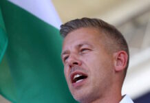 peter magyar 13022026 1200x630.jpg