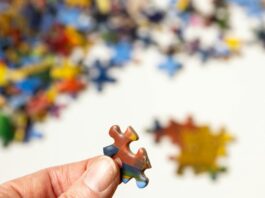 pexels sharon snider 2339082 4000306 1032x688.jpg