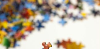 pexels sharon snider 2339082 4000306 1032x688.jpg