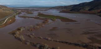 pineios 1200x630.jpg