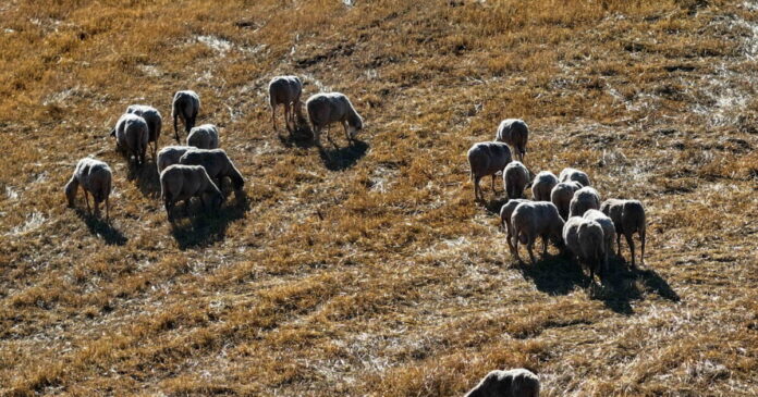 provata eurok 1200x630.jpg