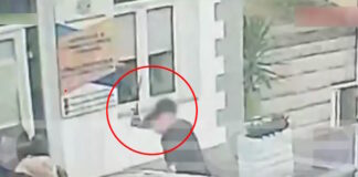 pulos glomp 1200x630.jpg