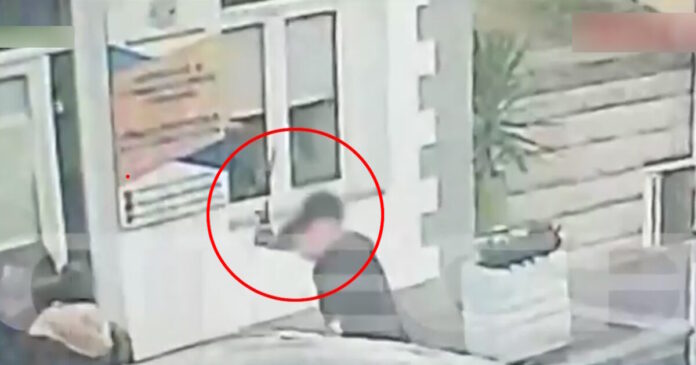 pulos glomp 1200x630.jpg