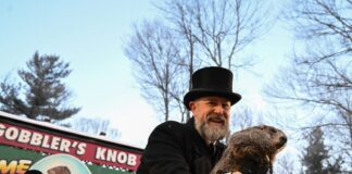 punxsutawney phil 1200x630.jpg