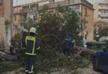 pyrosvestes dentro 1200x630.jpg