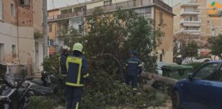 pyrosvestes dentro 1200x630.jpg