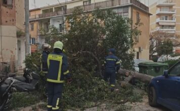 pyrosvestes dentro 1200x630.jpg