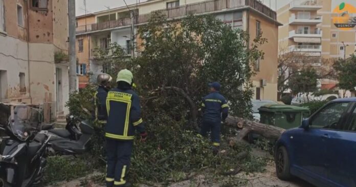 pyrosvestes dentro 1200x630.jpg