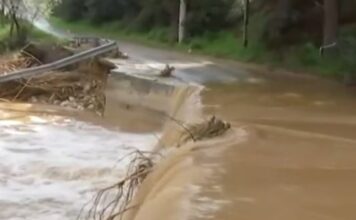 rema pikermi 1 1200x630.jpg