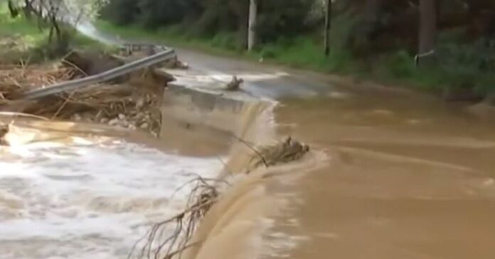 rema pikermi 1 1200x630.jpg rema pikermi 1 1200x630.jpg